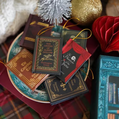The Book Lover's Advent Calendar - A New "Chapter" Every Day + 50% OFF