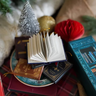 The Book Lover's Advent Calendar - A New "Chapter" Every Day + 50% OFF
